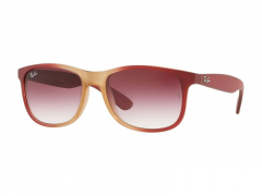 Ray-Ban Andy RB4202 63698H 