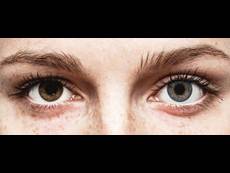 FreshLook ColorBlends Blue - uden styrke (2 linser)