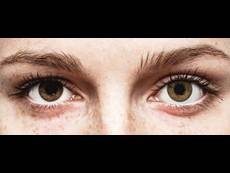 FreshLook ColorBlends Pure Hazel - uden styrke (2 linser)