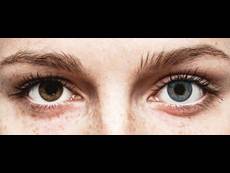 FreshLook ColorBlends True Sapphire - med styrke (2 linser)