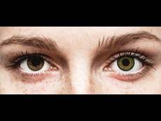 FreshLook One Day Color Green - uden styrke (10 linser)