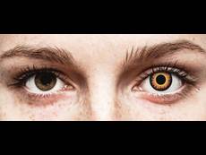ColourVUE Crazy Lens - Orange Werewolf - endagslinser uden styrke (2 linser)