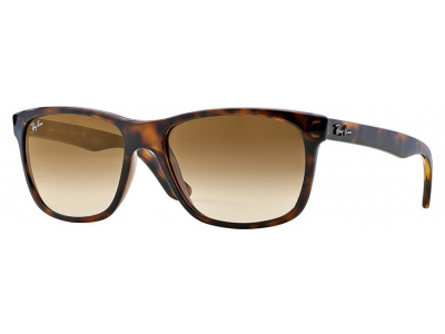 Ray-Ban solbriller RB4181 - 710/51