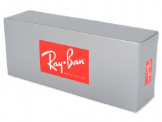 Ray-Ban solbriller RB4181 - 710/51 