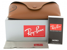 Ray-Ban solbriller RB4202 - 6069/71 