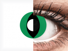 CRAZY LENS - Cat Eye Green - endagslinser uden styrke (2 linser)