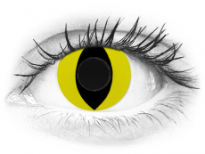 CRAZY LENS - Cat Eye Yellow - endagslinser uden styrke (2 linser)