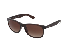 Solbriller Ray-Ban RB4202 - 607313 