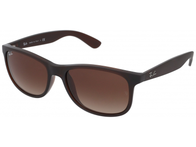Solbriller Ray-Ban RB4202 - 607313 