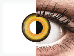 CRAZY LENS - Midnight Sun - endagslinser uden styrke (2 linser)