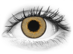 TopVue Daily Color - Brown - endagslinser med styrke (2 linser)