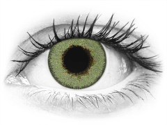 TopVue Daily Color - Green - endagslinser uden styrke (2 linser)